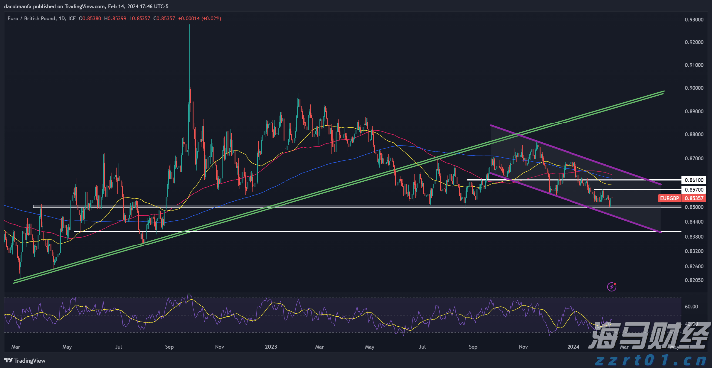 首批美丽广东生态文旅线路名单公布  湛江有1条线路榜上有名